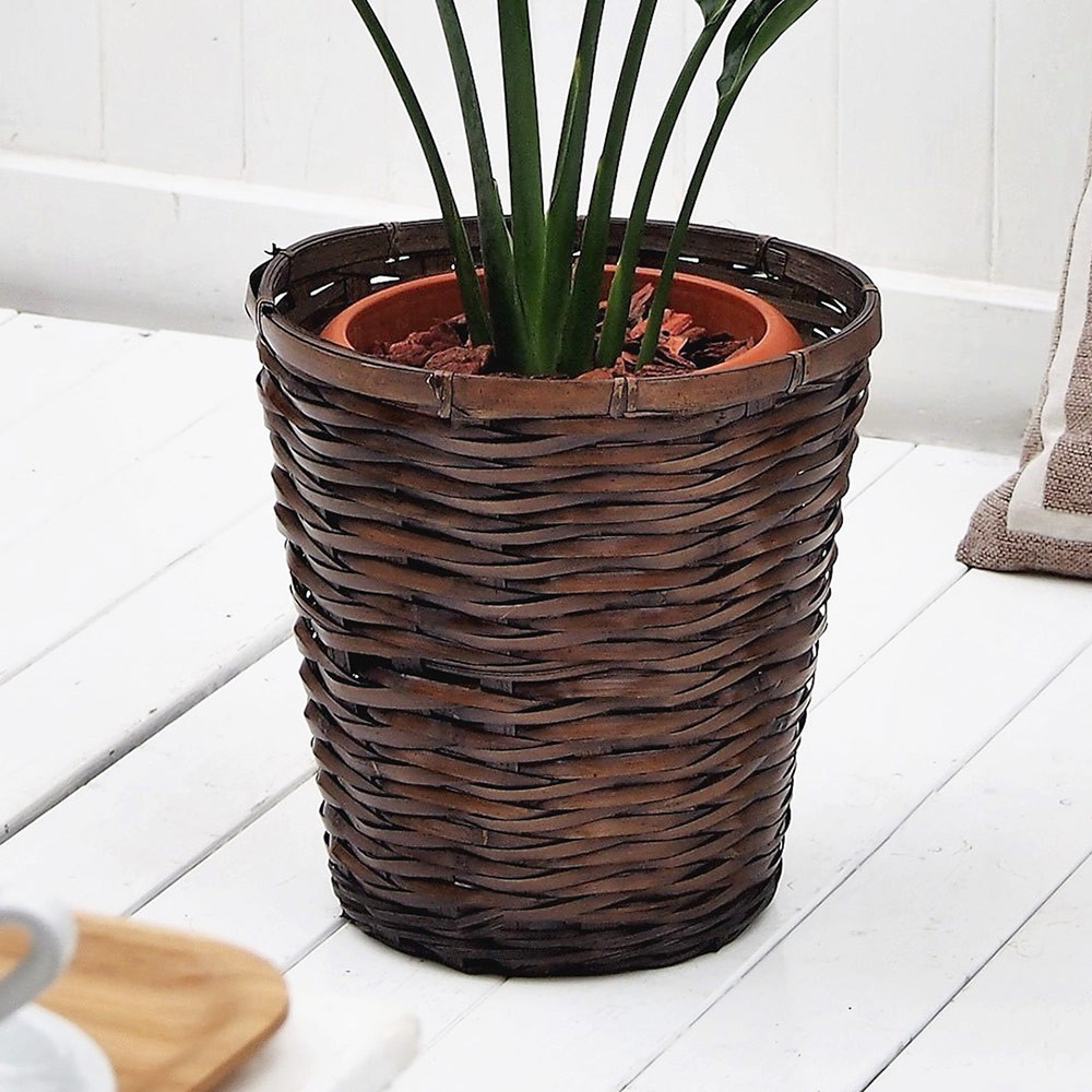 観葉植物｢ﾚｷﾞﾈ･ﾊﾞｽｹｯﾄ｣