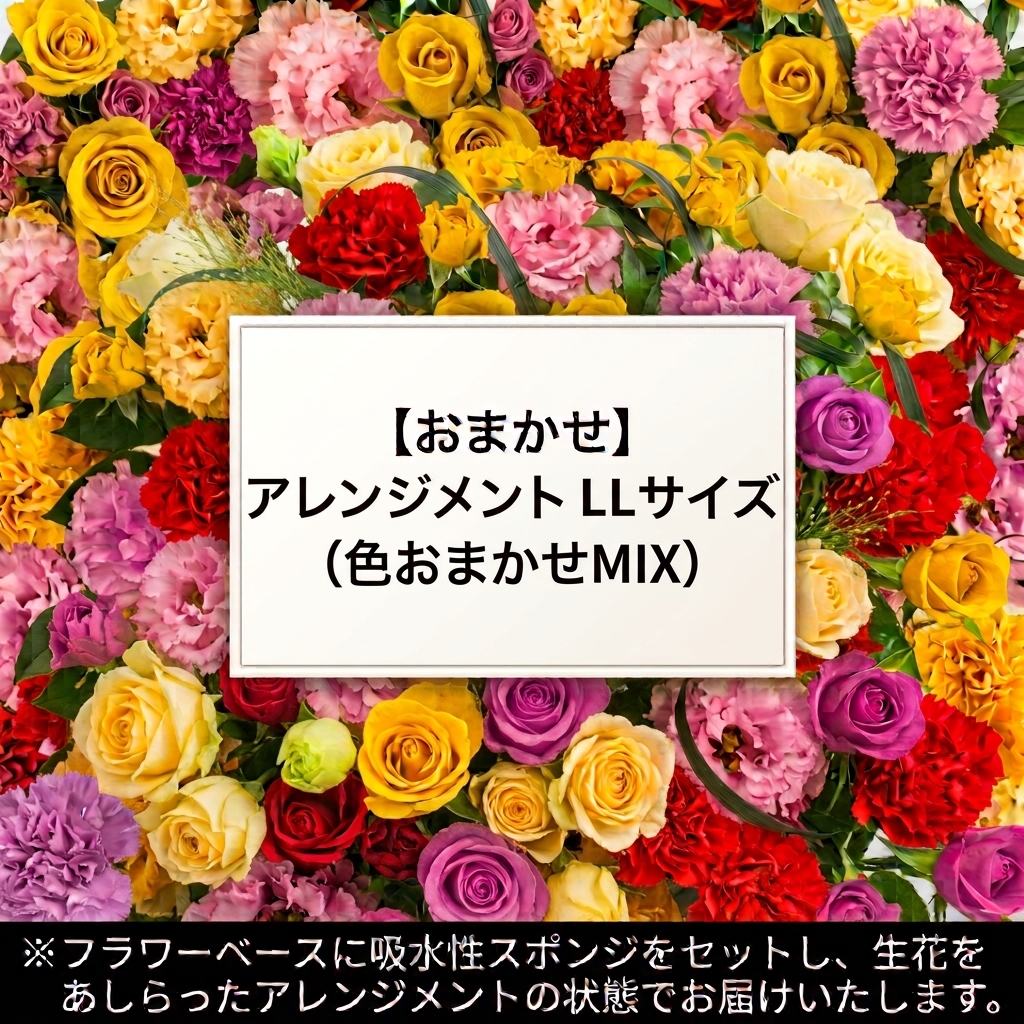 【おまかせ】アレンジメントLLサイズ(色おまかせMIX)