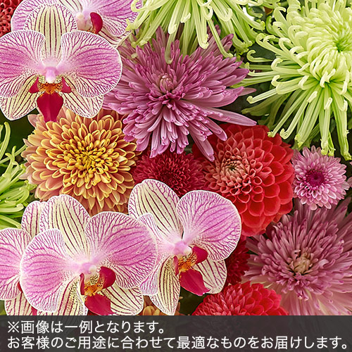 アレンジメントLLサイズ(色おまかせMIX)
