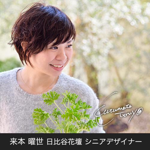 胡蝶蘭「日比谷花壇デザイナーズ化粧蘭（AKI）」