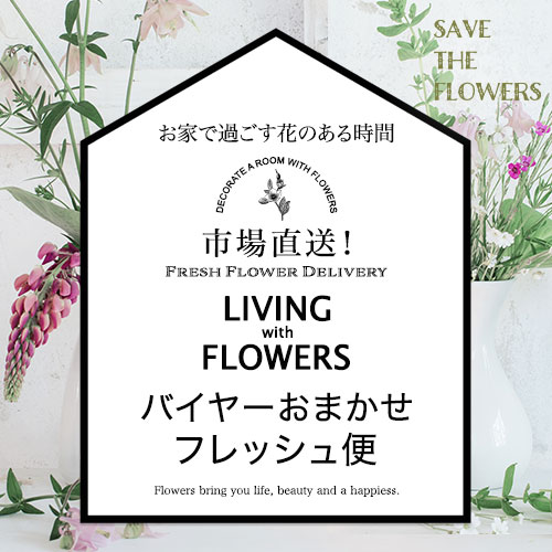 【バイヤー厳選】バラと季節のお花おまかせミックス