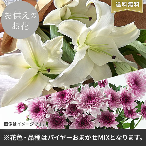 【バイヤー厳選】お供えのお花おまかせミックス