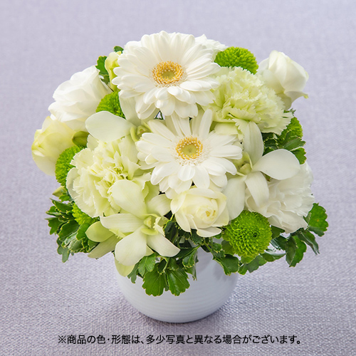 【お供え用】 アレンジメント「スラージュ」