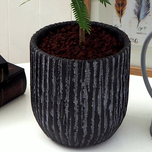 観葉植物「エバーフレッシュ（アンティークポット）」