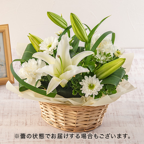 【最短翌日届け】【お供え用】 アレンジメント「ブロンシュ」