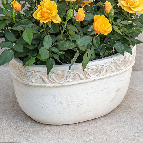 セントラルローズ「ミニバラ（イエロー）テラコッタガーデン」