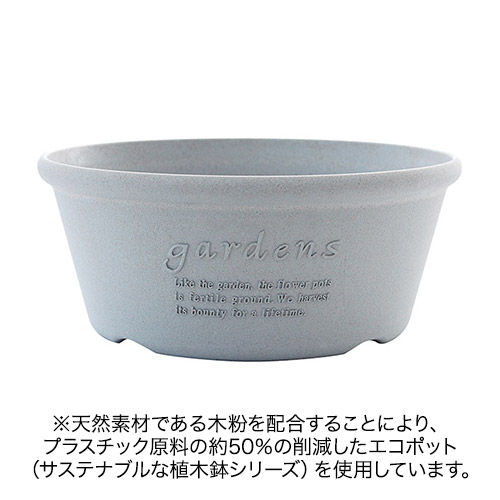 セントラルローズ「ミニバラ（ミックスカラー）コンテナガーデン」