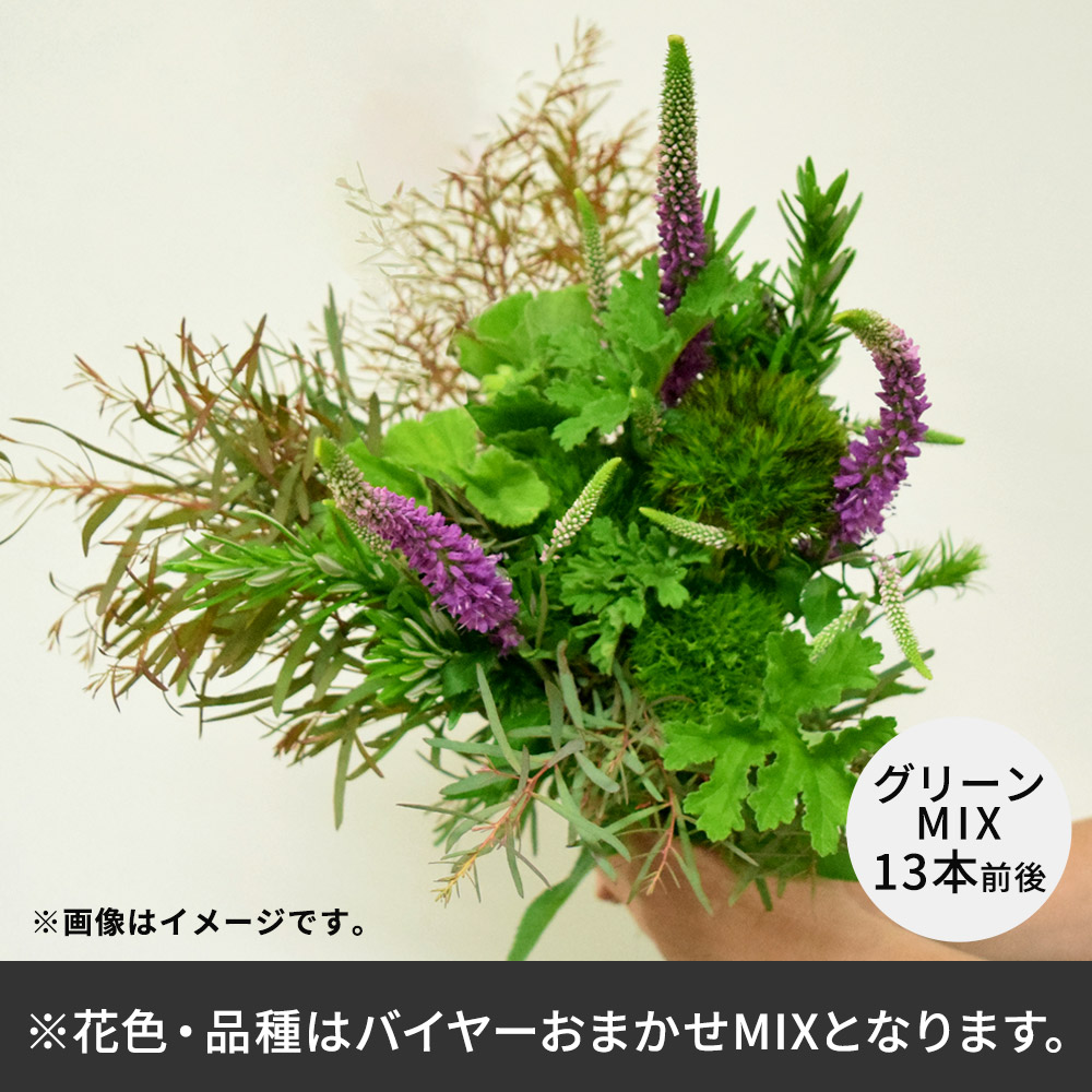 【バイヤー厳選】ボタニカルグリーンセット