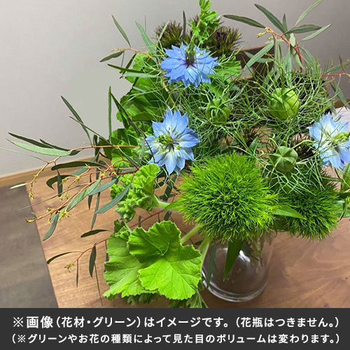 【バイヤー厳選】ボタニカルグリーンセット