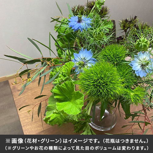 【バイヤー厳選】ボタニカルグリーンセット