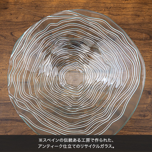 観葉植物「エアープランツ バレンシアガラスキット」