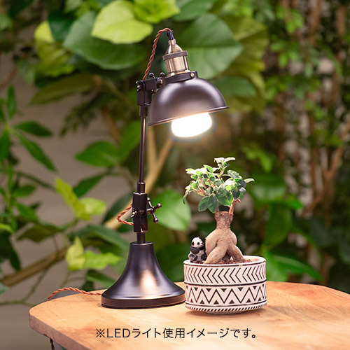植物育成用LED電球 Well light 3K 昼白色（3球）