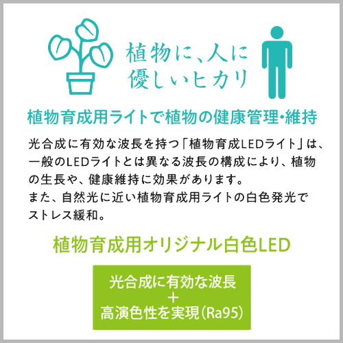 植物育成用LED電球 Well light 3K 昼白色（3球）