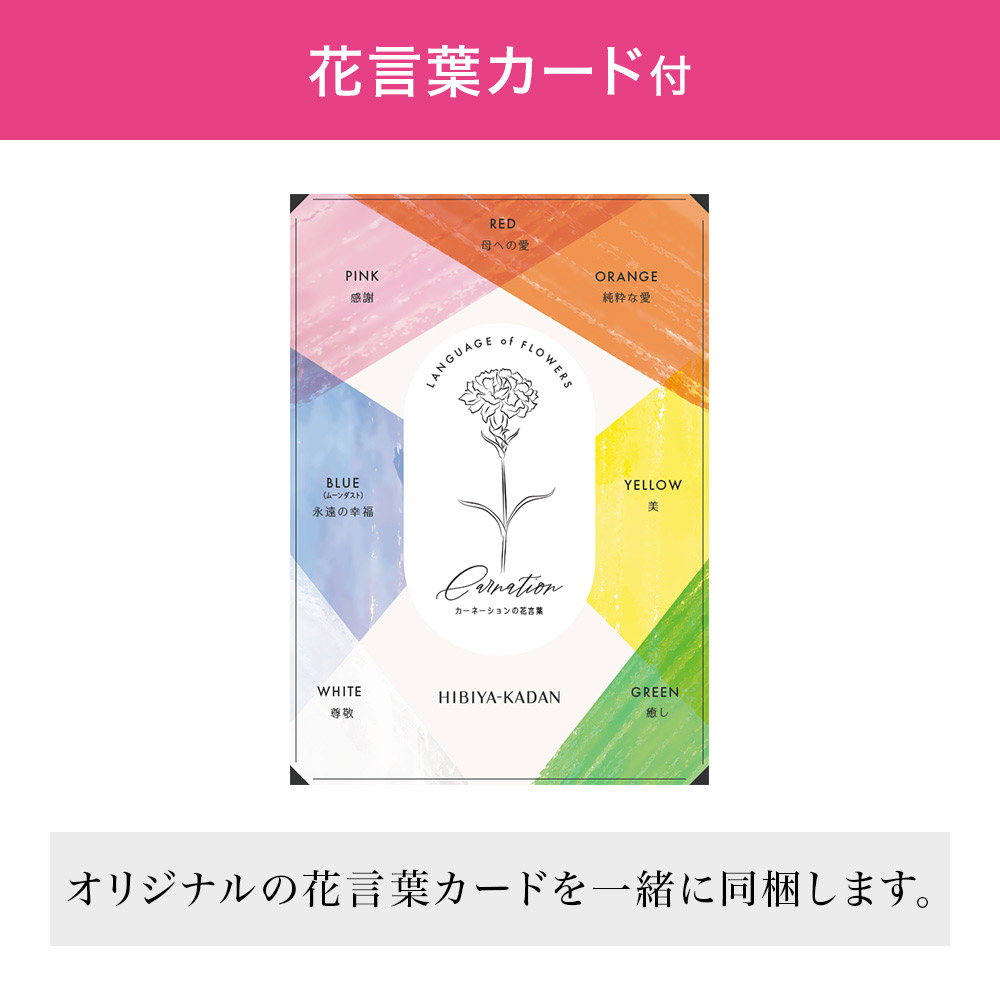 母の日 ミックスカーネーションの花束「感謝の気持ち」