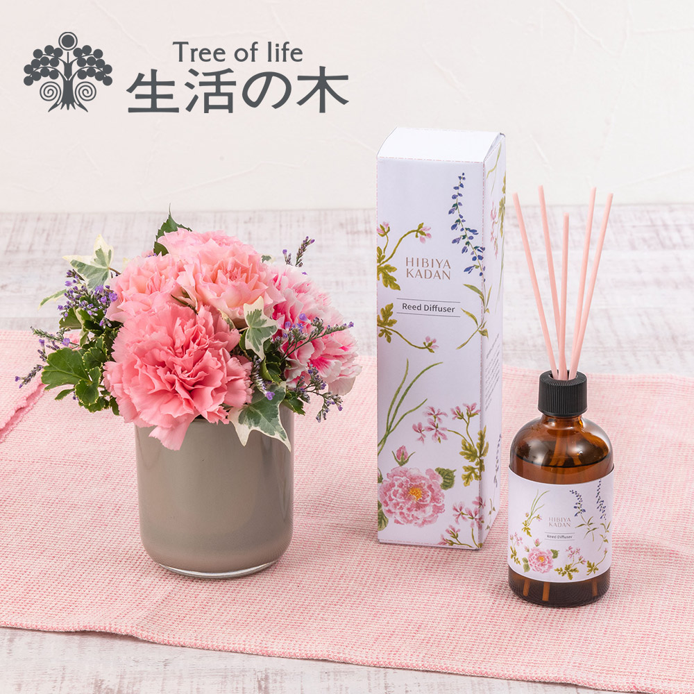母の日 生活の木「日比谷花壇オリジナル リードディフューザー」とアレンジメントのセット【沖縄届不可】