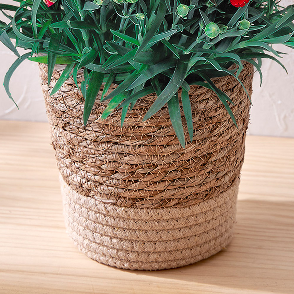 母の日 カーネーション（レッド）