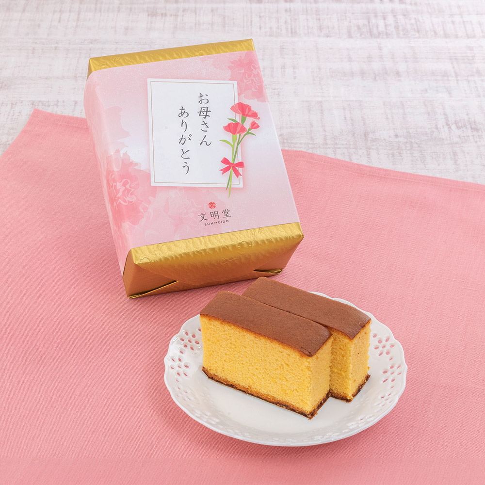 母の日 文明堂「特撰五三カステラ」とカーネーション鉢（レッド）のセット
