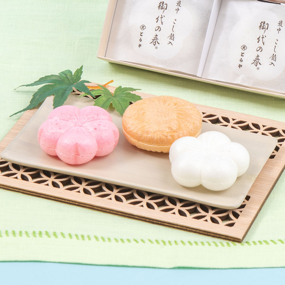 父の日 とらや「最中」とミディ胡蝶蘭のセット
