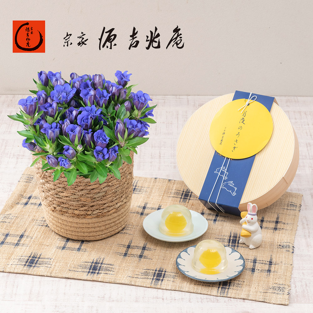 敬老の日 宗家 源 吉兆庵「月夜のうさぎ」とリンドウ（青）のセット