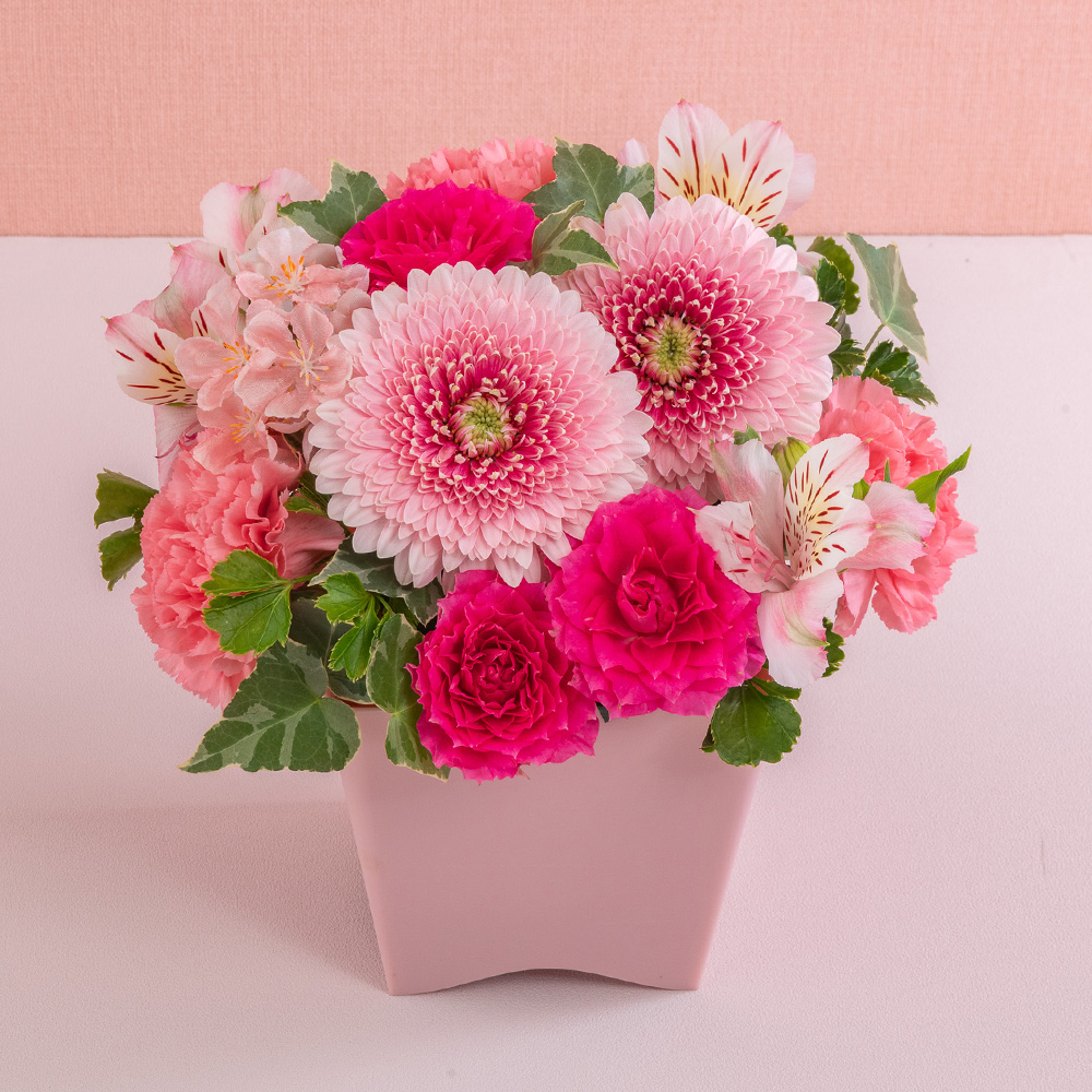 桜と桃の花束・アレンジメント・花鉢ギフト特集｜花・花束を贈る
