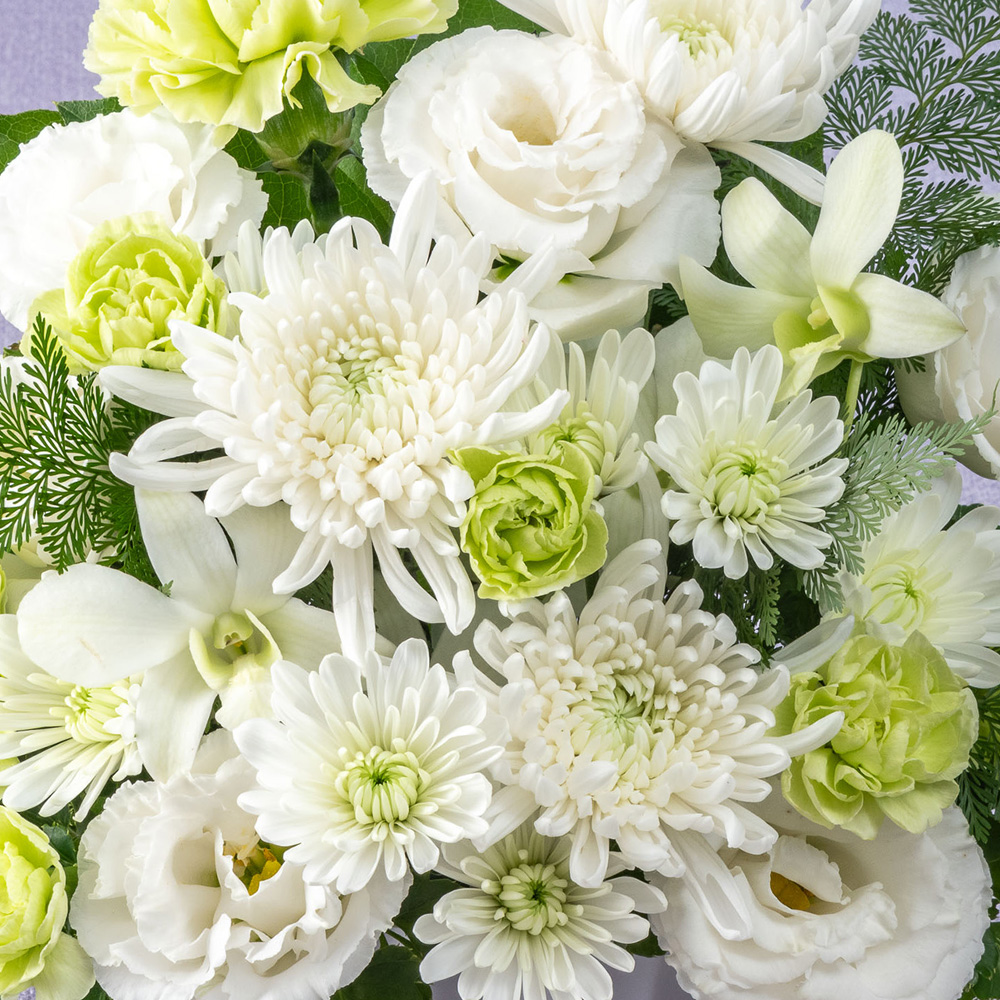 【お供え用】 アレンジメント「祈菊（きぎく）」