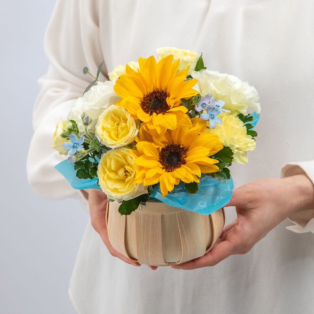 6月旬の花ヒマワリ アレンジメント「フィエスタロ―ズ」