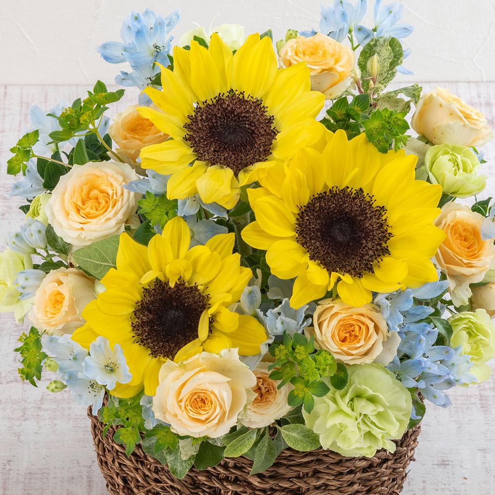 【最短翌日届け】6月旬の花ヒマワリ アレンジメント「セレーノ」