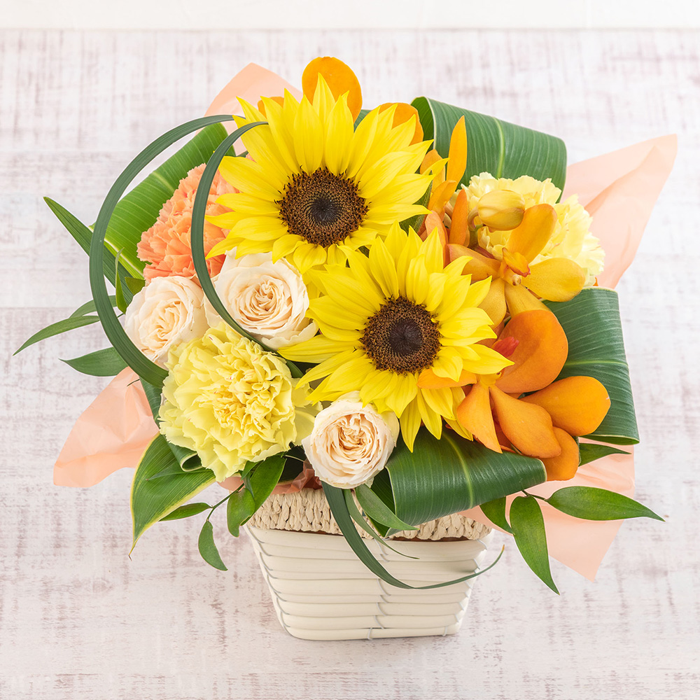【最短翌日届け】旬の花 ヒマワリ アレンジメント「ラフィット」