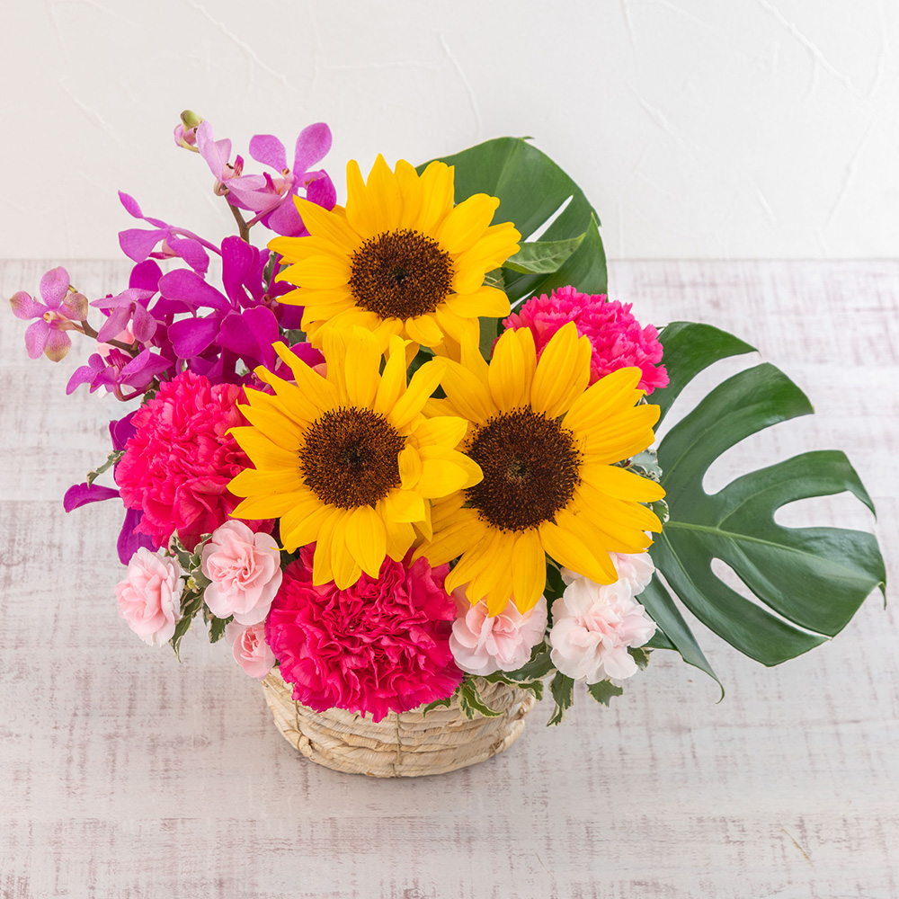 【最短翌日届け】旬の花 ヒマワリ アレンジメント「ラトゥール」