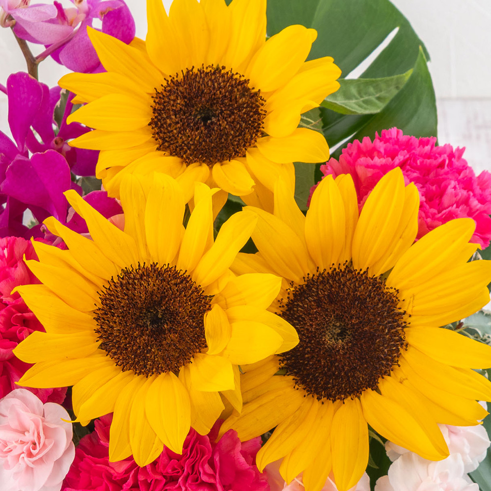 【最短翌日届け】旬の花 ヒマワリ アレンジメント「ラトゥール」