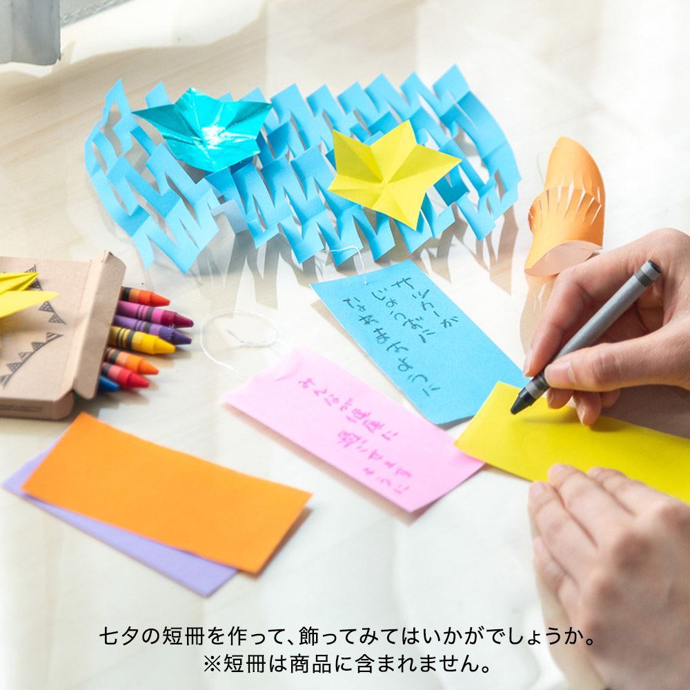 姫竹（青）盆栽風仕立て