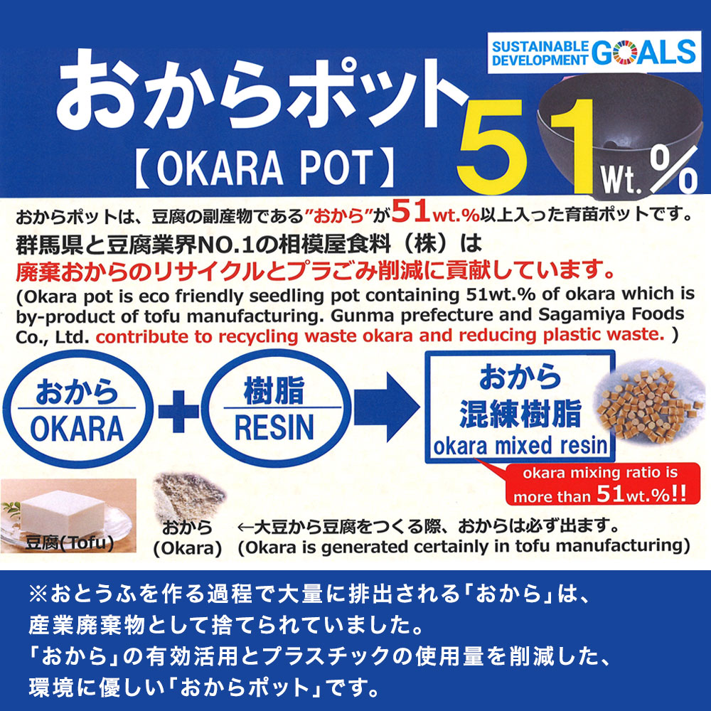 姫竹（青）盆栽風仕立て