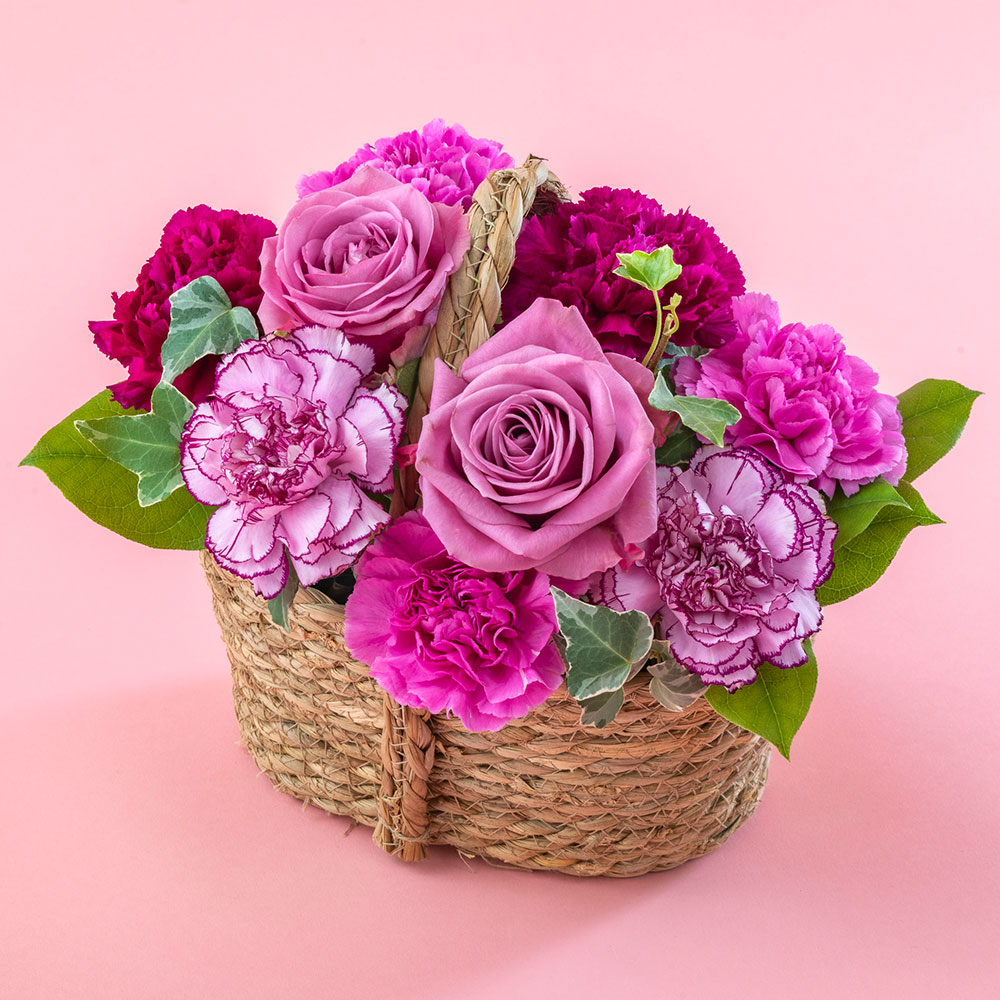 母の日 アレンジメント「ヴィオレノーブル」