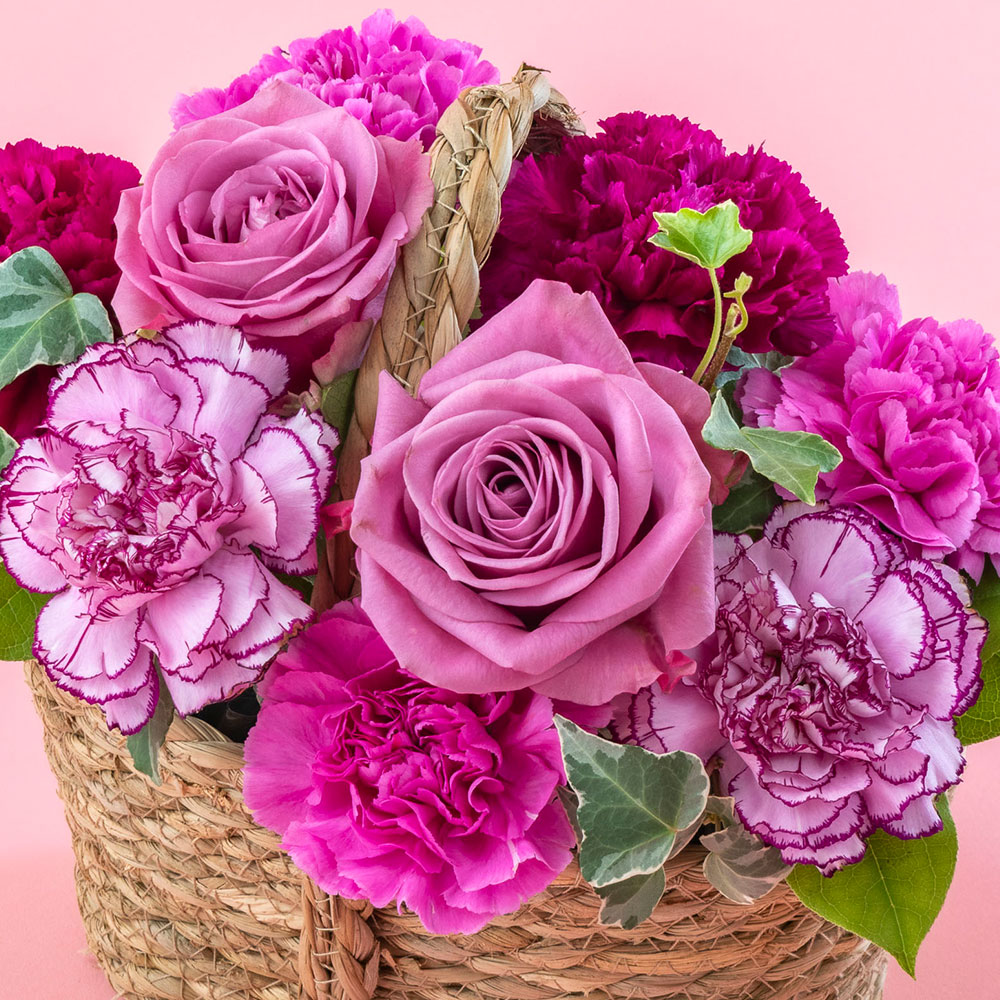 母の日 アレンジメント「ヴィオレノーブル」