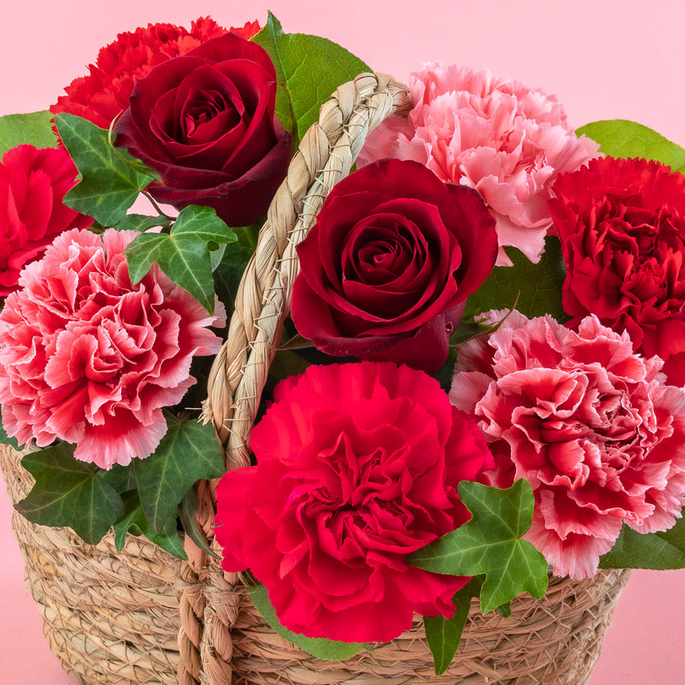 母の日 アレンジメント「ベル・フィオーレ」