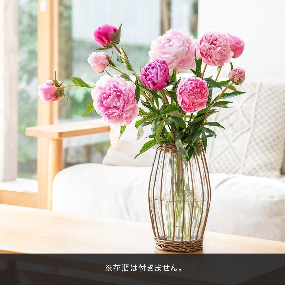 母の日 花束「芍薬（カラーミックス10本）」