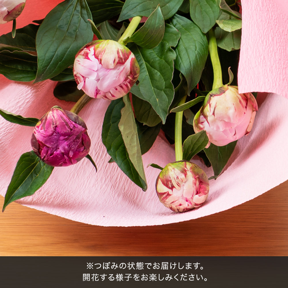 母の日 花束「芍薬（カラーミックス10本）」