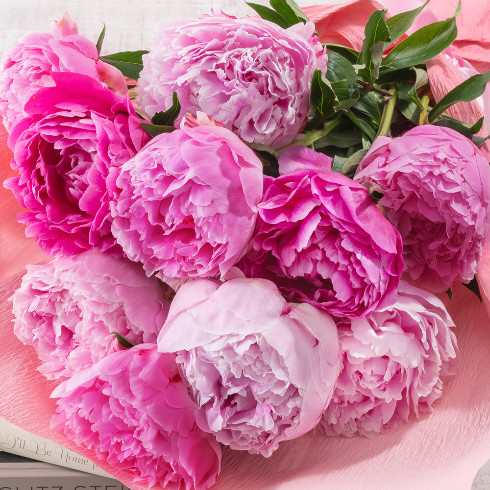 母の日 花束「芍薬（カラーミックス10本）」