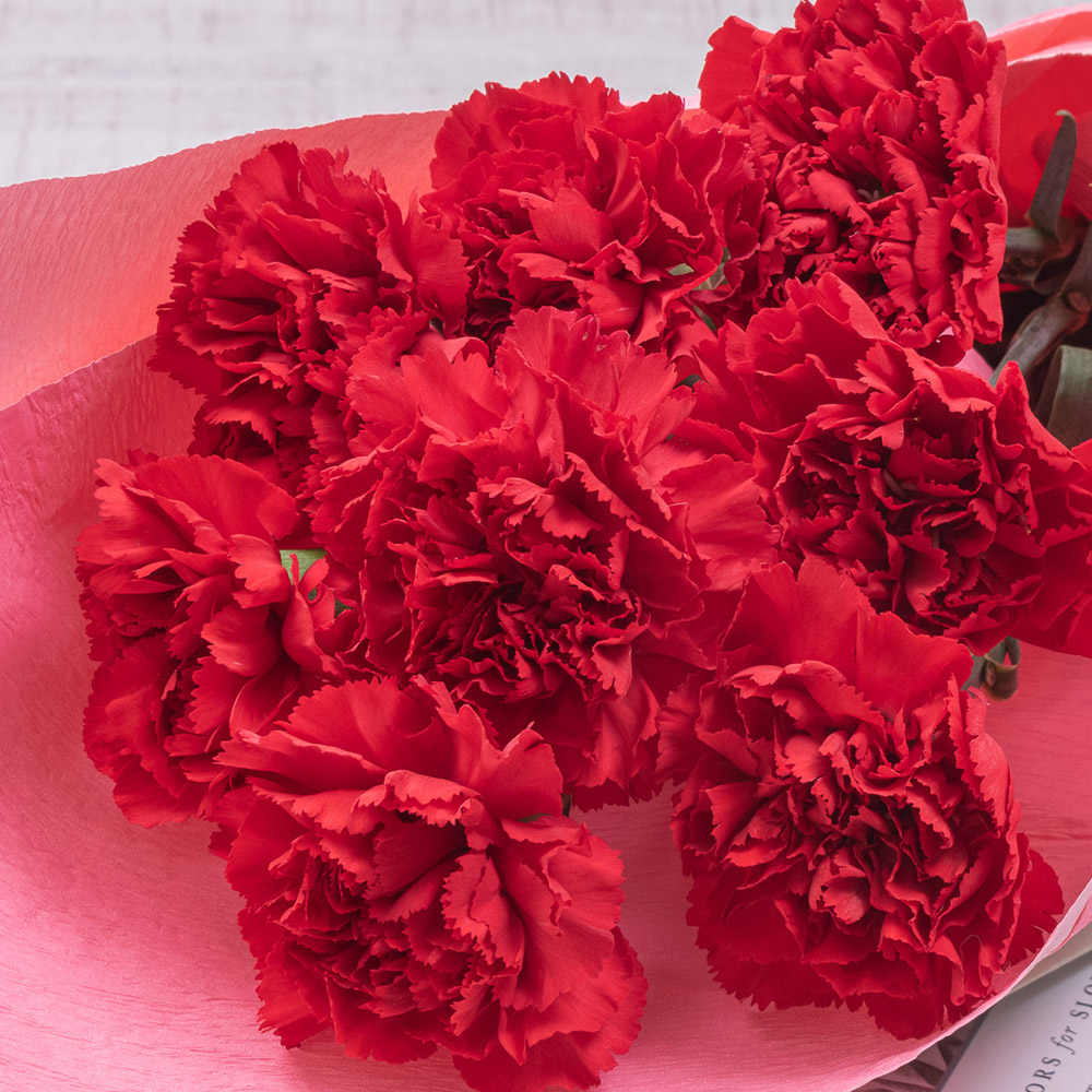 母の日 赤いカーネーションの花束「ありがとうの花」