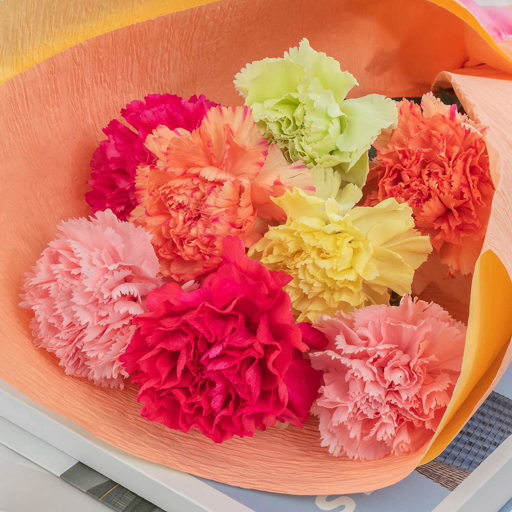 【母の日まだ間に合う！】 ミックスカーネーションの花束「感謝の気持ち」
