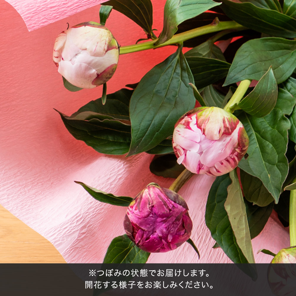 母の日 花束「芍薬（カラーミックス5本）」