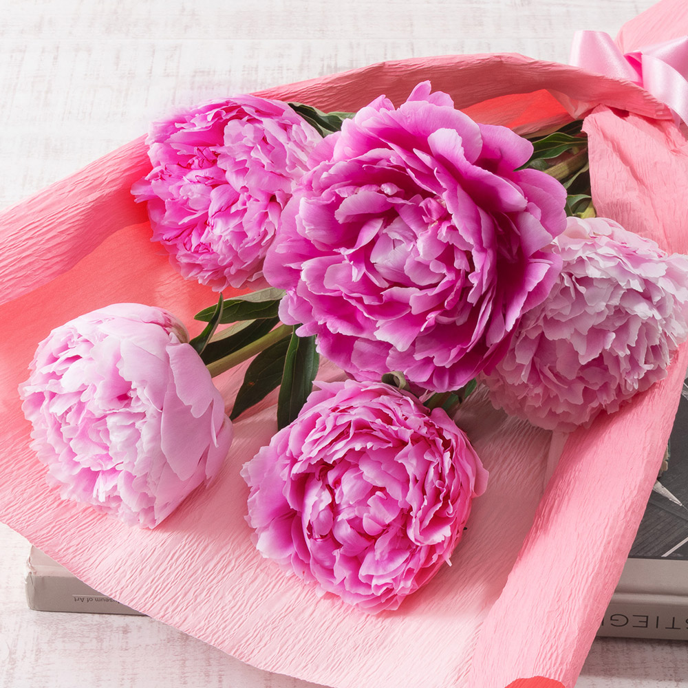 母の日 花束「芍薬（カラーミックス5本）」