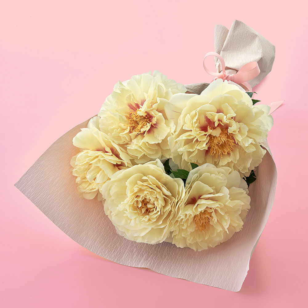 【母の日まだ間に合う！】 花束「芍薬（イエロー5本）」