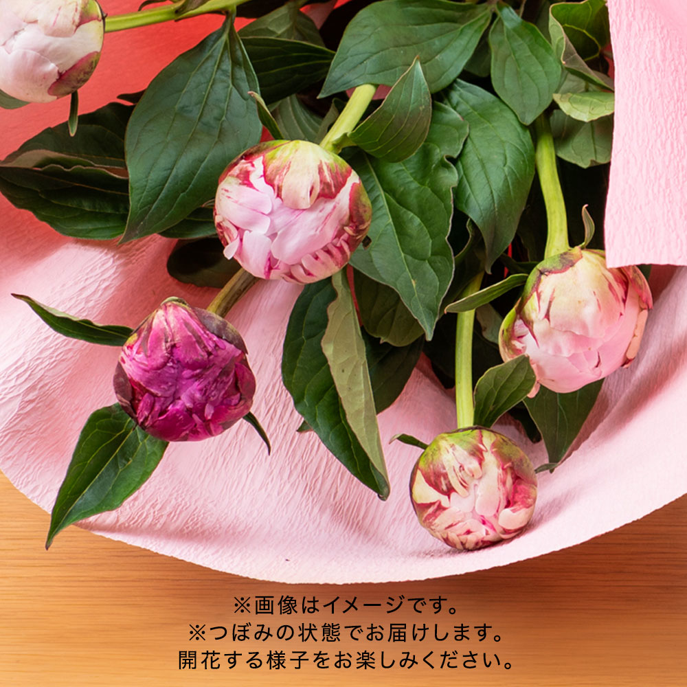 【母の日まだ間に合う！】 花束「芍薬（イエロー5本）」
