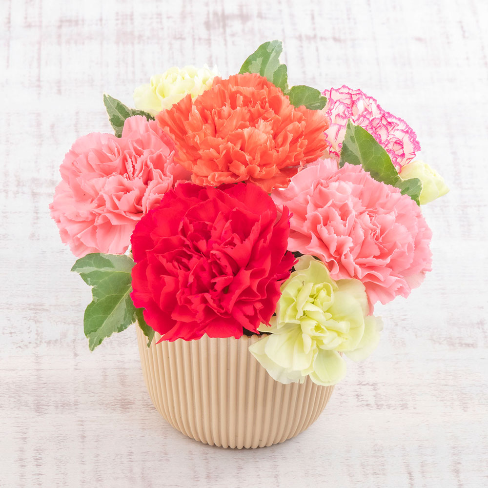 母の日 銀座千疋屋「銀座ゼリー」とアレンジメントのセット