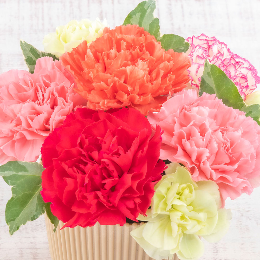 母の日 銀座千疋屋「銀座ゼリー」とアレンジメントのセット