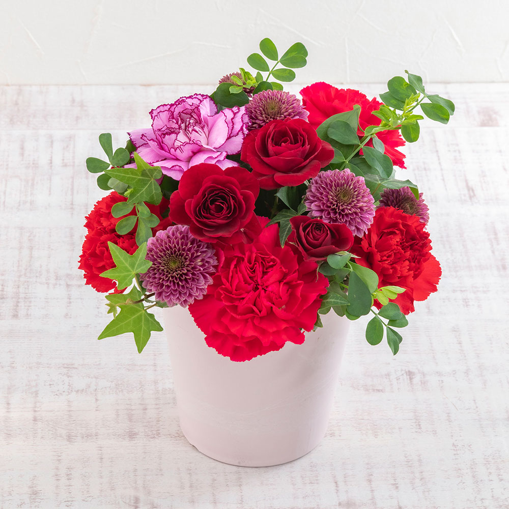 母の日 たねや「涼菓詰合せ」とアレンジメントのセット