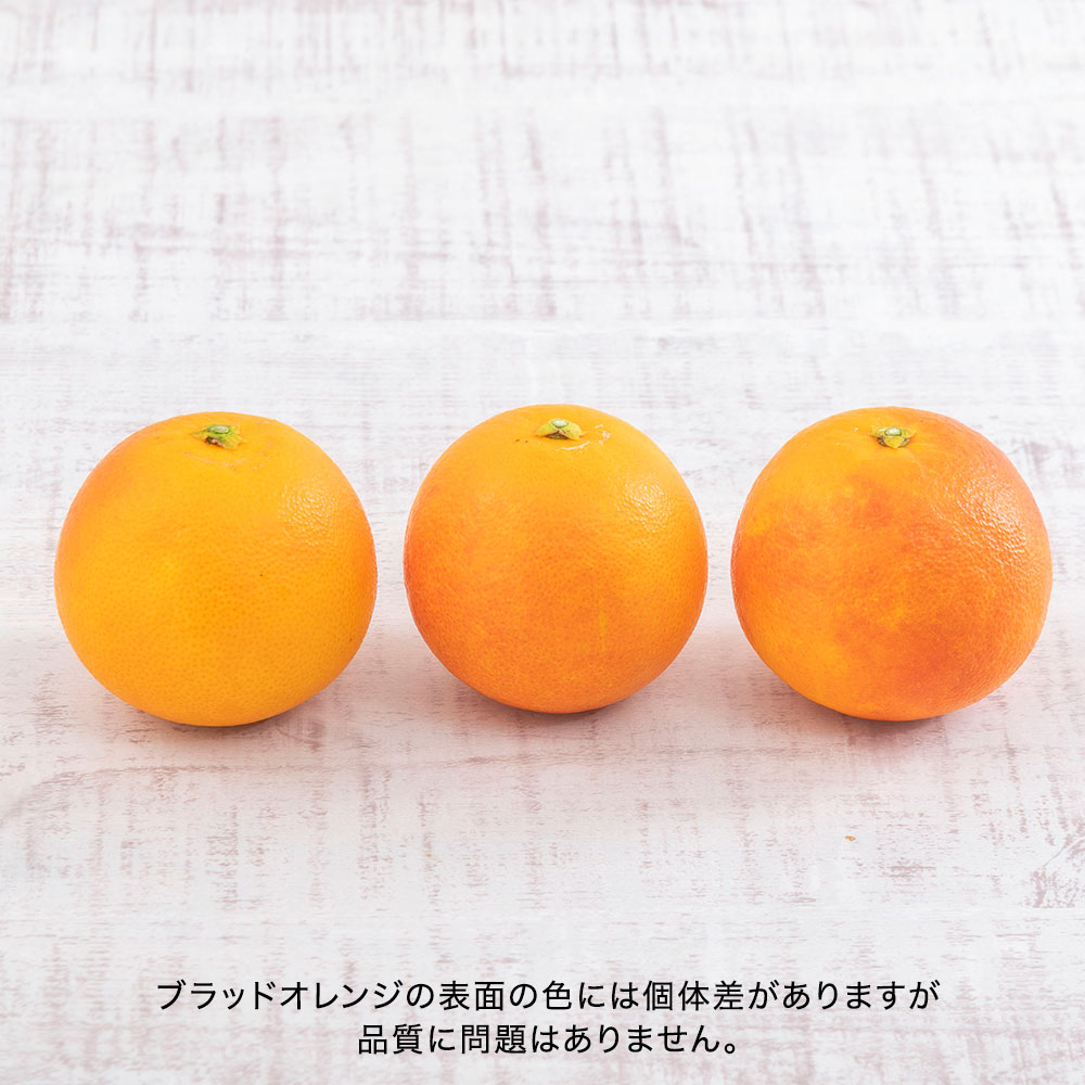 母の日 愛知県産「レッド系グレープフルーツ＆ブラッドオレンジ」とアレンジメントのセット