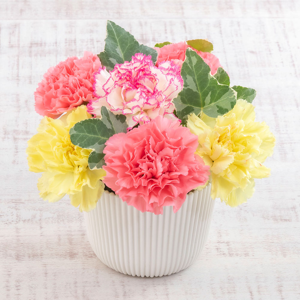 母の日 Soup Stock Tokyo「フリーズドライスープ4種類」とアレンジメントのセット