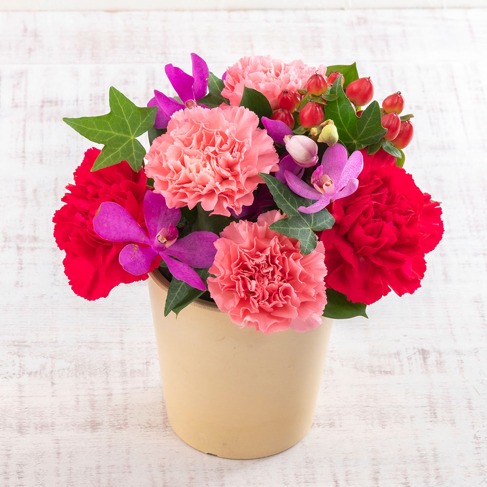 母の日 父母セット 磁気ネックレスとアレンジメントのセット